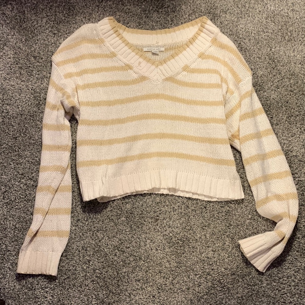 American Eagle Sweater Crop Top